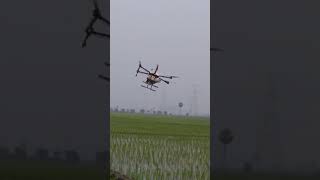 Drone agriculture in my  vilage #మన ఊరిలో  కొత్త వ్యవసాయం