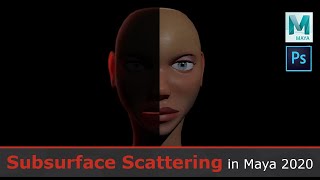Understanding Subsurface Scattering in Maya