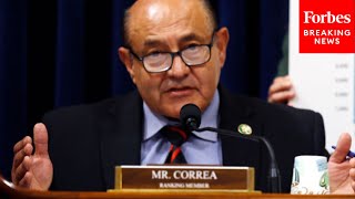 Dem Rep Asks DHS Witness About Increasing Percentage Of Vehicles Searched At Border from 2% To 40%