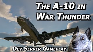 TOTALLY UNBIASED A-10 Warthog Impressions in War Thunder's Dev Server - Real Pilot Plays War Thunder