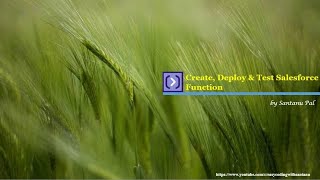 Create, Deploy & Test Salesforce Function