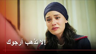 فريدة تحطمت | طائر النمنمة