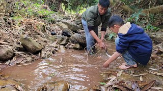 Walking in the forest to pick leaves / l came across a stream ưith many big fish /