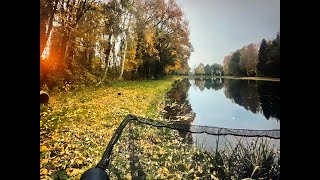 Angeln auf Herbstkarpfen  - so läuft es wirklich