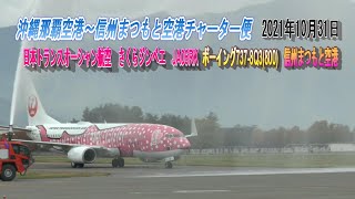 JTA 日本トランスオーシャン航空 JA06RK さくらジンベエ Boeing737-8Q3(800) 沖縄那覇空港～信州まつもと空港 チャーター便  2021年10月31日