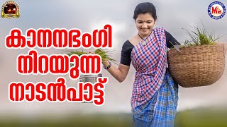 കാനന ഭംഗി നിറയുന്ന നാടൻപാട്ട് | nadanpattukal malayalam |mc audios and videos |