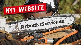 Træfældning Odense - Træfældning Fyn - Beskæring af træer Odense - Arborist Service ApS