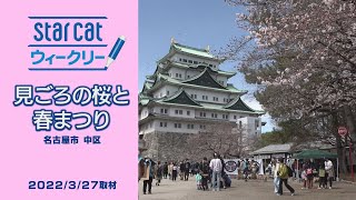 見ごろの桜と春まつり【StarCat ウィークリー】2022年3月31日放送