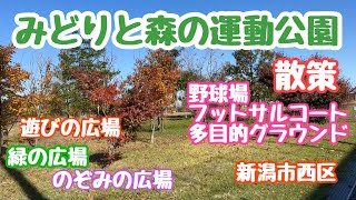 2023年11月16日　みどりと森の運動公園 散策 新潟市西区 体育施設 多目的広場 健康遊具