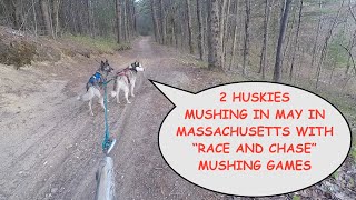 Mushing in May in Massachusetts with 2 Huskies:  Episode #45