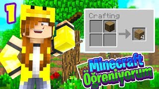 MINECRAFT NASIL OYNANIR - SIFIRDAN MINECRAFT ÖĞRENİYORUZ #1