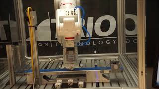 Trio Robotic Functionality with Vision System