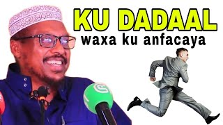 ku dadaal waxa ku anfacaya | sh mustafe