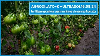 Mărirea și Coacerea Fructelor Fertilizand Plantele cu Ultrasol și Agroxilato-K | Marcoser