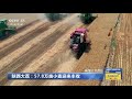 中国三农报道 陕西大荔：57.8万亩小麦迎来丰收 农业致富经 agriculture and farming