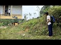 Single mother picking green vegetables to make pickles - My peaceful life and my son