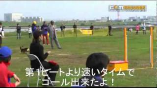 2010　ＪＫＣ秋季本部フライボール競技会　個人戦