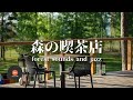 Ambient sounds + JAZZ Gentle forest coffee shop Relaxing work/study CAFE MUSIC - BGM for work