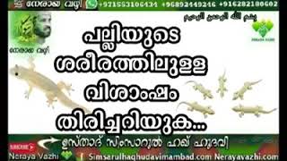 പല്ലിയുടെ ശരീരത്തിലുള്ള വിശാംഷം തിരിച്ചറിയുക. Simsarul Haq Hudavi New Speech