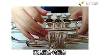 Trumpet - 如何组装Trumpet/Tune音/保养乐器