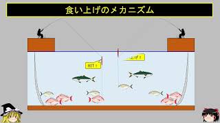 【海上釣堀】食い上げアタリの一例【短編】【ゆっくり解説】