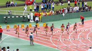 2011年高校総体南九州大会『男子110H決勝』