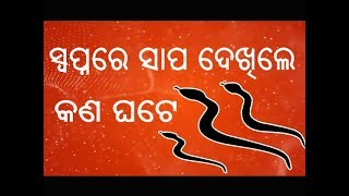 ସ୍ୱପ୍ନରେ ସାପ ଦେଖିଲେ କଣ ଘଟିଥାଏ //  Swapnare Sapa Dekhile Kana Ghate // Sadhu Bani