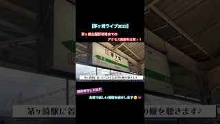 【茅ヶ崎ライブ2023】湘南移住した私が茅ヶ崎公園野球場までガイドします✨🏟️ #茅ヶ崎公園野球場 #サザンオールスターズ #茅ヶ崎駅 #サザンビーチ茅ヶ崎 #湘南移住