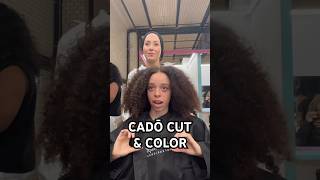 CADŌ CONSULTATION AND RESULTS #cado #curlycut #curlyhair #naturalhair #4k