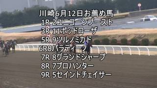 競馬予想　関東オークス川崎競馬2013　競馬タウン