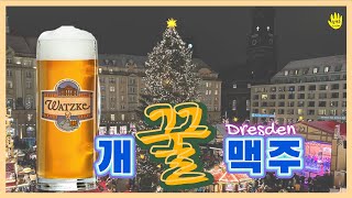 꿀이 들어간 독일 드레스덴의 맥주 // Beer with honey, in Dresden, Germany