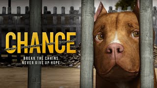 Chance (2021) Full Movie | Animated | Adventure | Animals