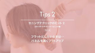 【Tips 2：フラットにしたい！】トコトン学べる！質感・量感スタンダードテクニック_セニング編 -連動動画-