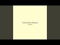 Velvet Storm Breeze