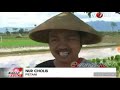 petani kecewa janji tak di tepati jokowi