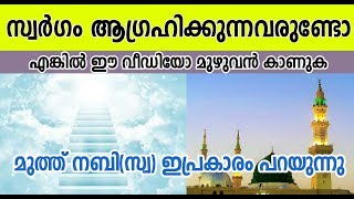 ഈ രണ്ടു കാര്യം നിത്യമാക്കിയാൽ സ്വർഗത്തിൽ കടക്കാം ISLAMIC SPEECH