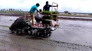 Paddy sowing machine ಭತ್ತ ನಾಟಿ ಮಾಡುವ ಯಂತ್ರ