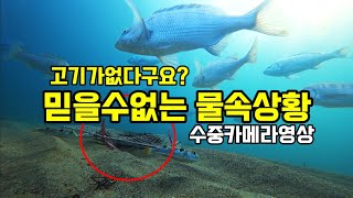 낚시만하면 고기가없다구요? 믿을수없는 반전 물속상황