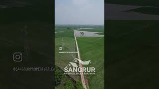 11.5 Acres on Sale Sangrur, Patiala Road, Village Gurdaspura./ Call Us🤙 +91 9878299201 #realestate