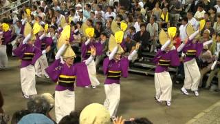 天保連＠南内町演舞場　～2011.8.15　徳島市阿波おどり～