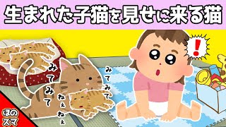 【2chほのぼの】愛猫が出産した子猫を、娘に見せに来てくれるwww