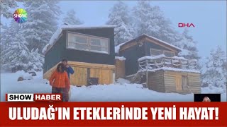 Uludağ'ın eteklerinde yeni hayat!