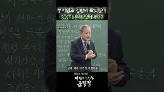 부처님도 열반에 드셨는데 죽음이 본래 없다니요? [김원수 법사의 내 안의 선지식 금강경] #shorts