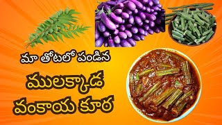 వంకాయ ములక్కాడ కర్రీ రుచి అమోఘం  #mulakkada #vankayarecipes #food #godavari #bhimavaram