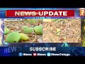 రైతులను నిండా ముంచిన అకాల వర్షాలు unseasonal rain damage crops adilabad inews