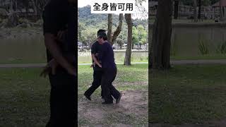 龍身無處不可用 #xingyiquan #形意拳 #太極拳 #taiji #中国武术 #氣功 #bagua zhang #八卦掌