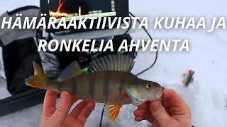 AHVEN KESKITALVEN ASETUKSILLA | PILKKIPÄIVÄ