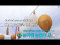 고음질 mr 같은 생각 신혜성 ky.69231 ky karaoke