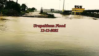 Urapakkam flood November 2021 #sadeeshvenugopal,#kaushika,#urapakkamflood,#urapakkamrain,#urapakkam