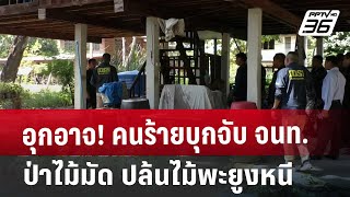 อุกอาจ! คนร้ายบุกจับ จนท.ป่าไม้มัด ปล้นไม้พะยูงหนี | เข้มข่าวค่ำ | 10 พ.ย. 67